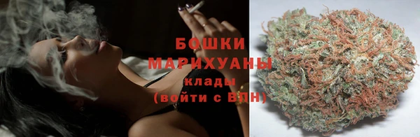 соль ск Бородино