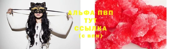 соль ск Бородино