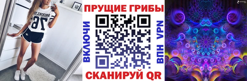 купить наркотики сайты  Курган  блэк спрут сайт  Галлюциногенные грибы Psilocybine cubensis 